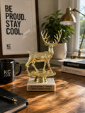 Autocorrect Thinks I Keep Saying "Buck"